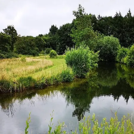 Vakantiehuis Modern Retreat In Arrild - By Traum Toftlund