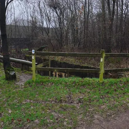 Modern Retreat In Arrild - By Traum *