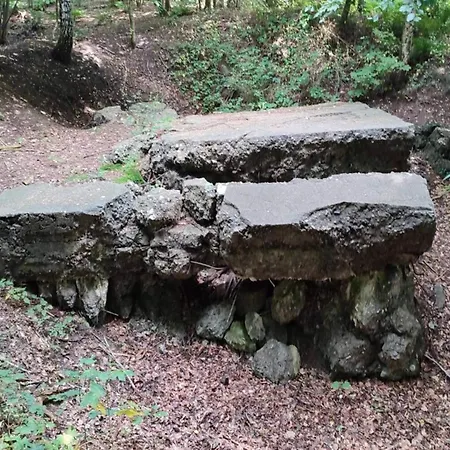 Vakantiehuis Modern Retreat In Arrild - By Traum Toftlund