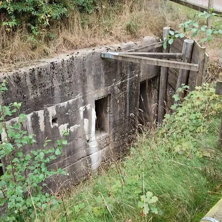 Vakantiehuis Modern Retreat In Arrild - By Traum *